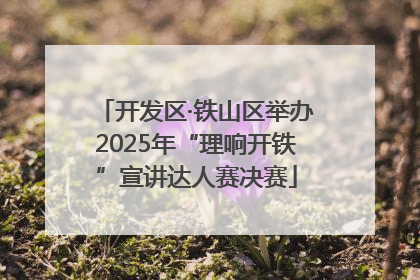 开发区·铁山区举办2025年“理响开铁”宣讲达人赛决赛