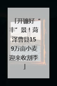 开镰好“丰”景！菏泽曹县159万亩小麦迎来收割季