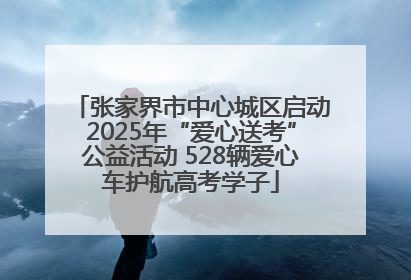张家界市中心城区启动2025年“爱心送考”公益活动 528辆爱心车护航高考学子