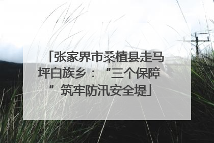 张家界市桑植县走马坪白族乡：“三个保障”筑牢防汛安全堤