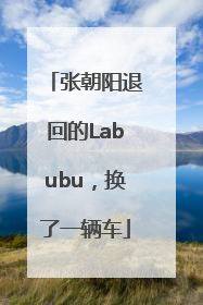 张朝阳退回的Labubu，换了一辆车