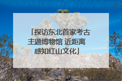 探访东北首家考古主题博物馆 近距离感知红山文化