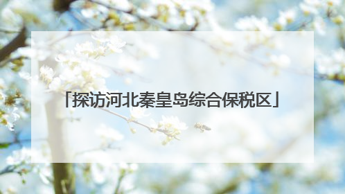 探访河北秦皇岛综合保税区