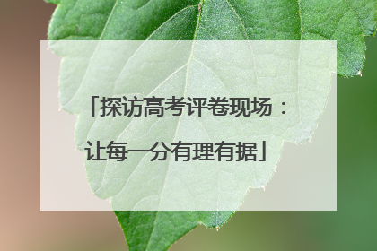 探访高考评卷现场：让每一分有理有据