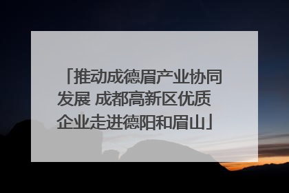 推动成德眉产业协同发展 成都高新区优质企业走进德阳和眉山