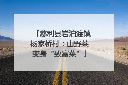 慈利县岩泊渡镇杨家桥村：山野菜变身“致富菜”