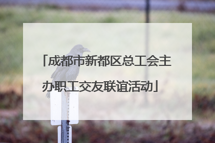 成都市新都区总工会主办职工交友联谊活动