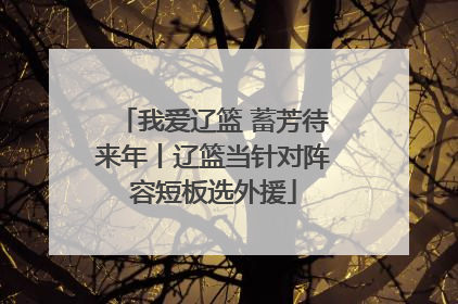 我爱辽篮 蓄芳待来年丨辽篮当针对阵容短板选外援