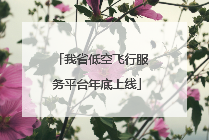 我省低空飞行服务平台年底上线