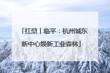 扛鼎丨临平：杭州城东新中心焕新工业森林