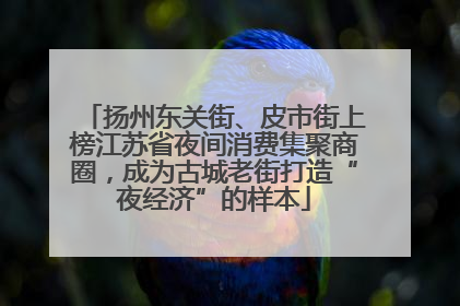 扬州东关街、皮市街上榜江苏省夜间消费集聚商圈，成为古城老街打造“夜经济”的样本