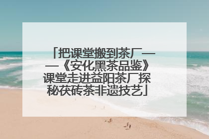 把课堂搬到茶厂——《安化黑茶品鉴》课堂走进益阳茶厂探秘茯砖茶非遗技艺