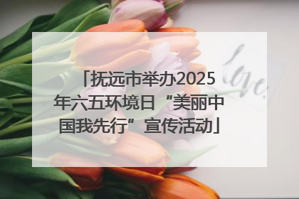 抚远市举办2025年六五环境日“美丽中国我先行”宣传活动