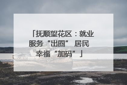 抚顺望花区：就业服务“出圈” 居民幸福“加码”