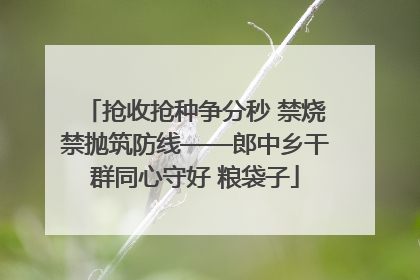 抢收抢种争分秒 禁烧禁抛筑防线——郎中乡干群同心守好 粮袋子