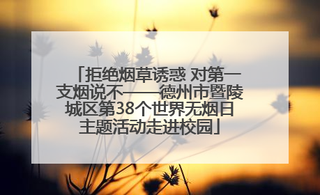拒绝烟草诱惑 对第一支烟说不——德州市暨陵城区第38个世界无烟日主题活动走进校园