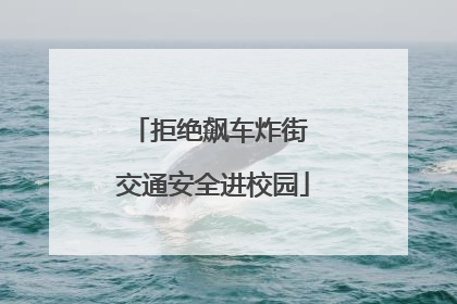 拒绝飙车炸街 交通安全进校园