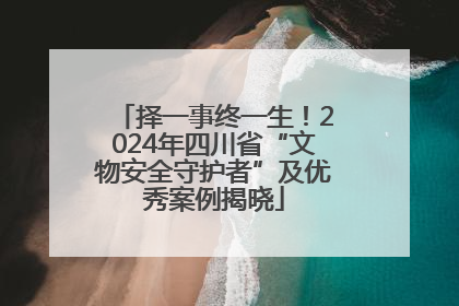 择一事终一生！2024年四川省“文物安全守护者”及优秀案例揭晓
