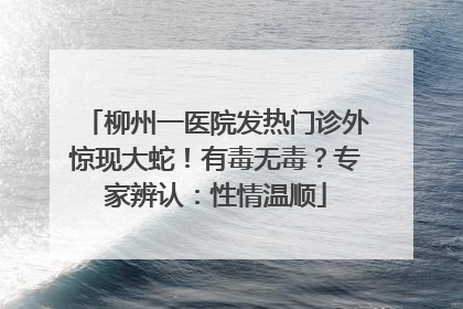 柳州一医院发热门诊外惊现大蛇！有毒无毒？专家辨认：性情温顺