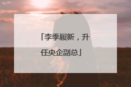 李季履新，升任央企副总