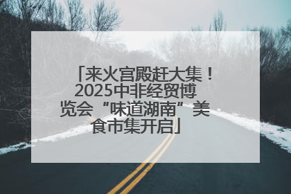 来火宫殿赶大集！2025中非经贸博览会“味道湖南”美食市集开启
