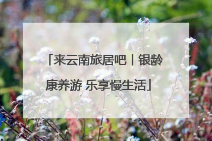 来云南旅居吧丨银龄康养游 乐享慢生活