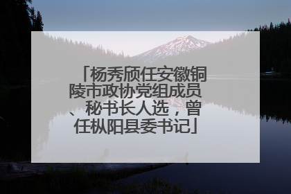 杨秀颀任安徽铜陵市政协党组成员、秘书长人选，曾任枞阳县委书记
