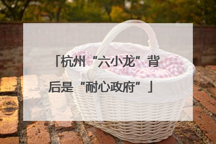 杭州“六小龙”背后是“耐心政府”