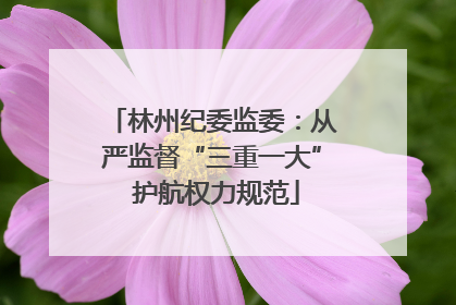 林州纪委监委：从严监督“三重一大” 护航权力规范