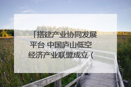 搭建产业协同发展平台 中国庐山低空经济产业联盟成立（组图｜视频）