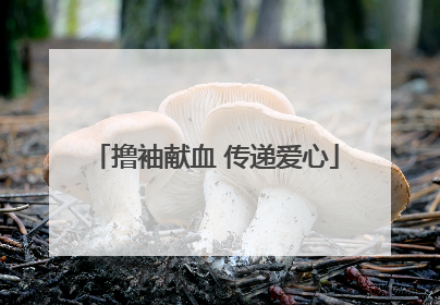 撸袖献血 传递爱心