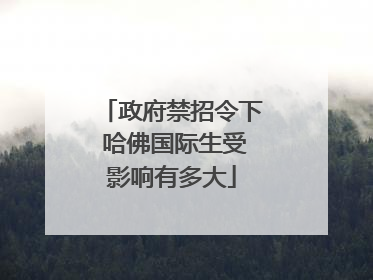 政府禁招令下 哈佛国际生受影响有多大