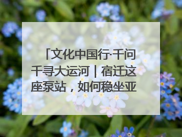 文化中国行·千问千寻大运河｜宿迁这座泵站，如何稳坐亚洲第一宝座？