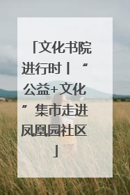 文化书院进行时丨“公益+文化”集市走进凤凰园社区