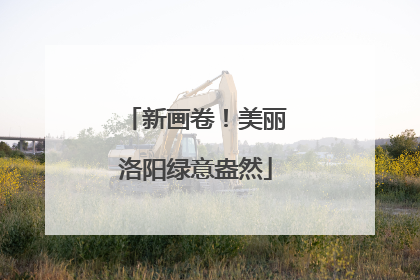 新画卷！美丽洛阳绿意盎然
