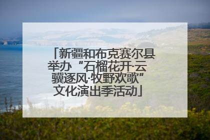 新疆和布克赛尔县举办“石榴花开·云骥逐风·牧野欢歌”文化演出季活动