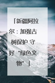 新疆阿拉尔：加强古树保护 守好“绿色文物”