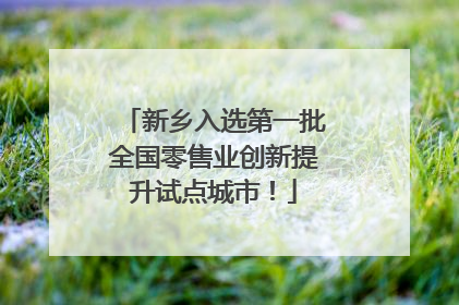 新乡入选第一批全国零售业创新提升试点城市！