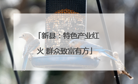 新县：特色产业红火 群众致富有方