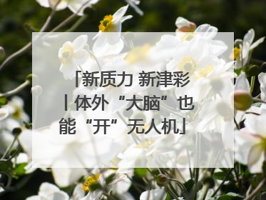 新质力 新津彩丨体外“大脑”也能“开”无人机