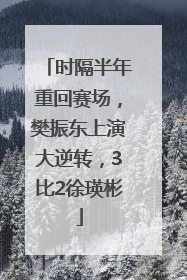 时隔半年重回赛场，樊振东上演大逆转，3比2徐瑛彬