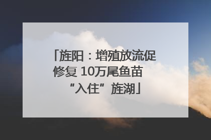 旌阳：增殖放流促修复 10万尾鱼苗“入住”旌湖