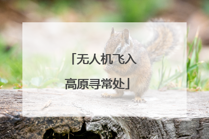 无人机飞入高原寻常处