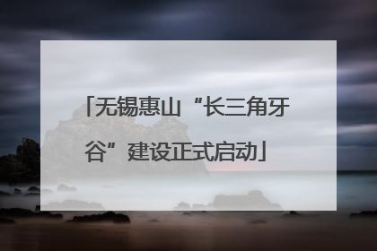 无锡惠山“长三角牙谷”建设正式启动