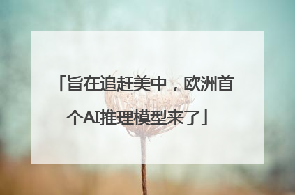 旨在追赶美中，欧洲首个AI推理模型来了