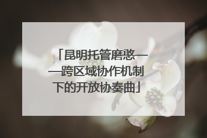 昆明托管磨憨——跨区域协作机制下的开放协奏曲