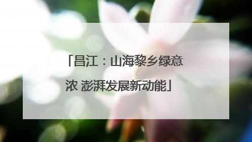 昌江：山海黎乡绿意浓 澎湃发展新动能