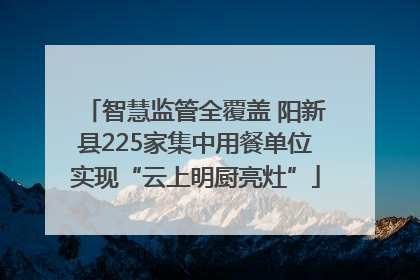 智慧监管全覆盖 阳新县225家集中用餐单位实现“云上明厨亮灶”