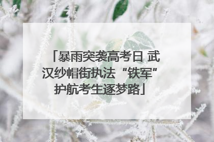 暴雨突袭高考日 武汉纱帽街执法“铁军”护航考生逐梦路