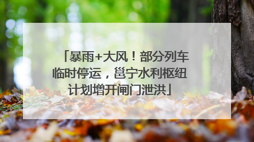暴雨+大风！部分列车临时停运，邕宁水利枢纽计划增开闸门泄洪